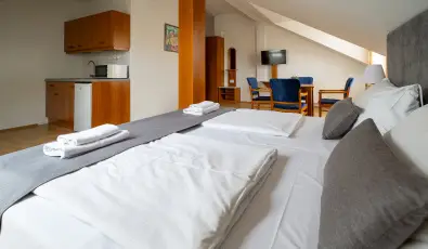 Hotel Forr�s Zalakaros Zalakaros