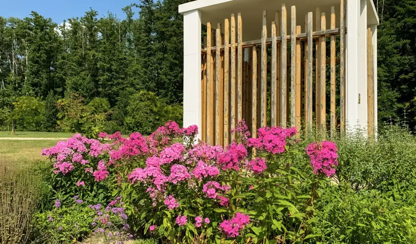 Hunguest Hotel Freya Zalakaros - M�rcius 15. (min. 3 �j)