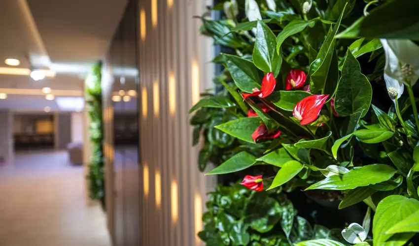Greenfield Hotel Golf & Spa B�k, B�kf�rd� - M�rcius 15.                                                                                                                                                                                                                                                    