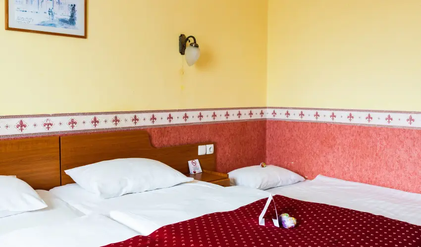 Hotel Korona Wellness, Rendezv�ny & Borhotel Eger Eger - M�rcius 15. 