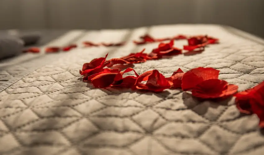 Krist�ly Hotel Keszthely - M�rcius 15. �nnepi h�tv�ge - teljes el�refizet�ssel (min. 2 �j)