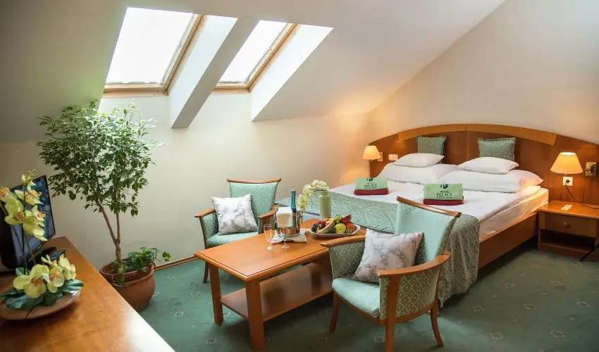 Palace Hotel  H�v�z - M�rcius 15. 