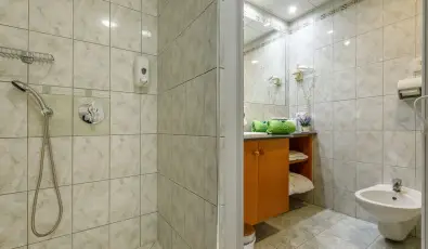 Palace Hotel  H�v�z