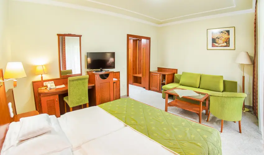 Silver Hotel Hajd�szoboszl� - M�rcius 15.  (min. 2 �j)