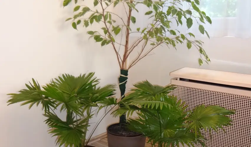 Hotel Touring Nagykanizsa - M�rcius 15. 