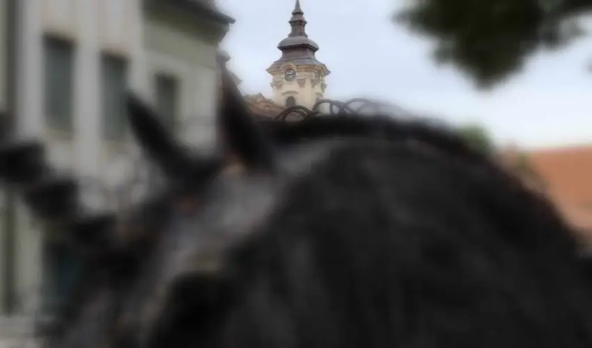 Hotel Unicornis Eger - M�rcius 15.