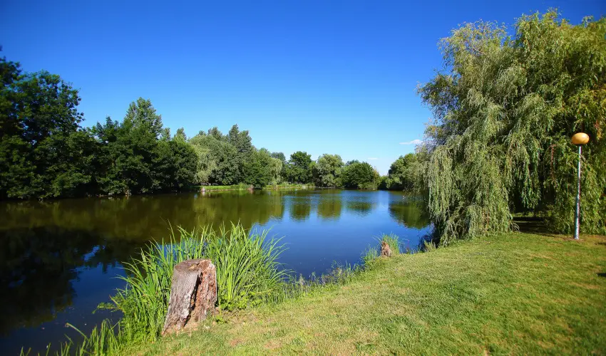 Term�l Hotel Vesta T�pi�szecs� - M�rcius 15.