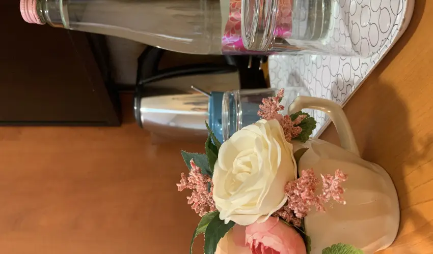 Term�l Hotel Vesta T�pi�szecs� - M�rcius 15.