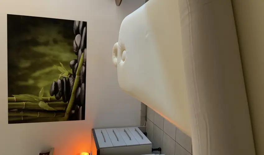 Term�l Hotel Vesta T�pi�szecs� - M�rcius 15.