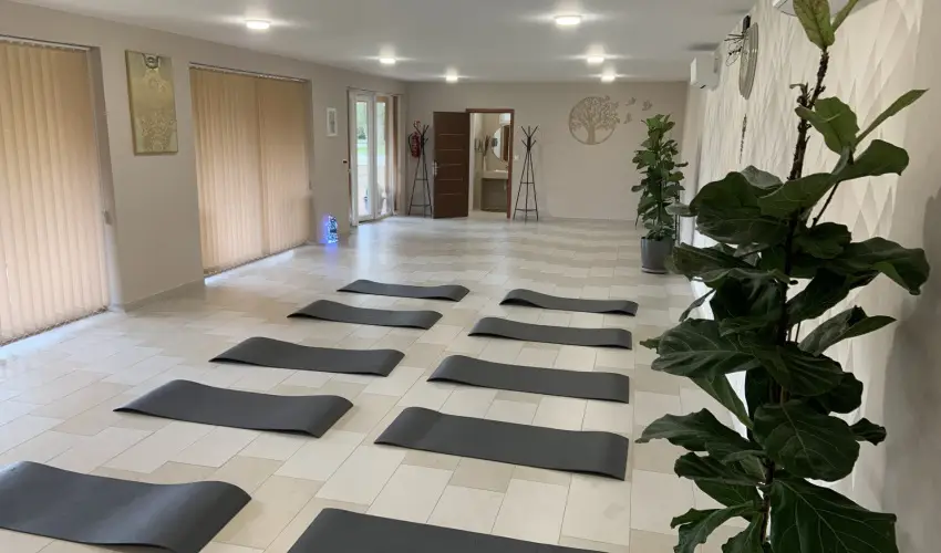 Term�l Hotel Vesta T�pi�szecs� - M�rcius 15.