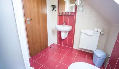 Hotel Vikt�ria S�rv�r