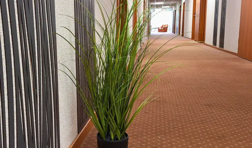 Hungarospa Thermal Hotel Hajd�szoboszl� - M�rcius 15. 