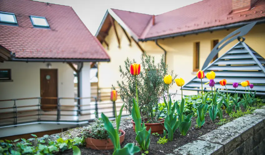 Imola Udvarh�z Eger - M�rcius 15.  (min. 2 �j)