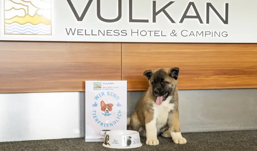 Vulk�n Wellness Hotel �s Kemping Celld�m�lk - M�rcius 15. (min. 2 �j)