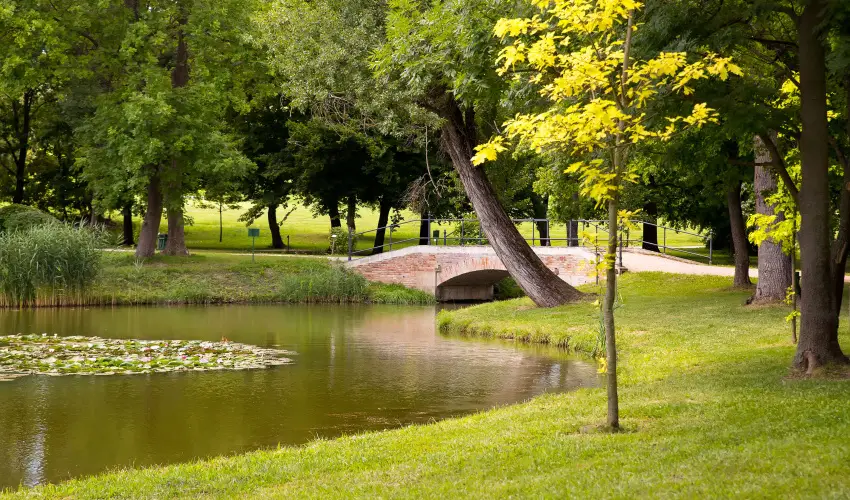 K�rolyi Kast�ly Hotel & Restaurant  Feh�rv�rcsurg� - M�rcius 15. 