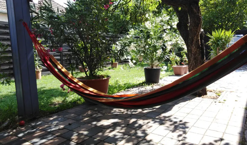 K�kmad�r Vend�gh�z Homokm�gy - M�rcius 15.