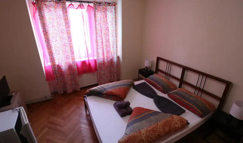 K�bor Macska Fogad� K�szeg - M�rcius 15.