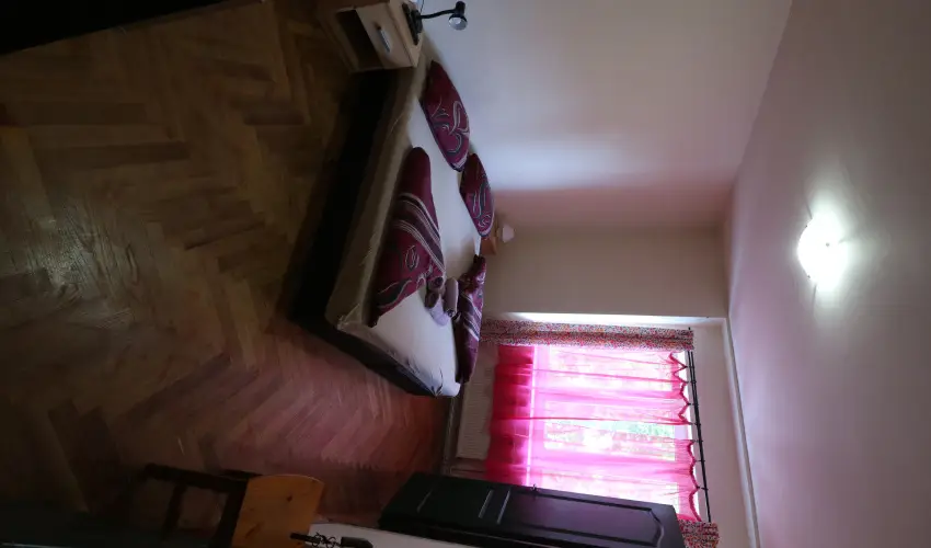 K�bor Macska Fogad� K�szeg - M�rcius 15.