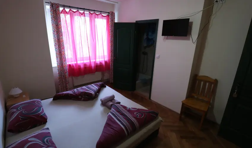 K�bor Macska Fogad� K�szeg - M�rcius 15.