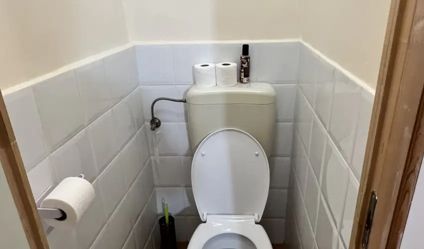 K�bor Macska Fogad� K�szeg - M�rcius 15.