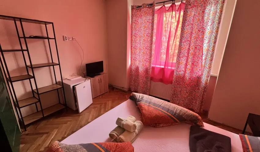 K�bor Macska Fogad� K�szeg - M�rcius 15.