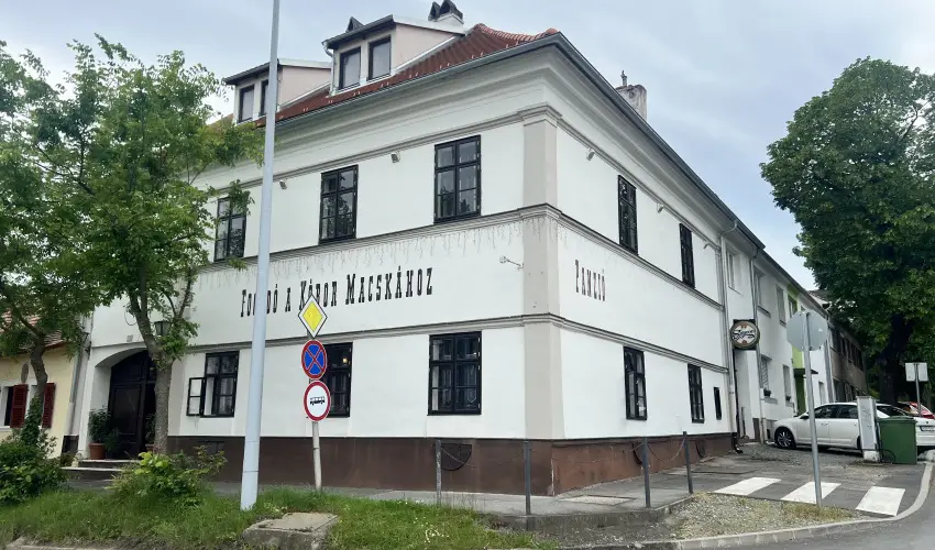 K�bor Macska Fogad� K�szeg - M�rcius 15.