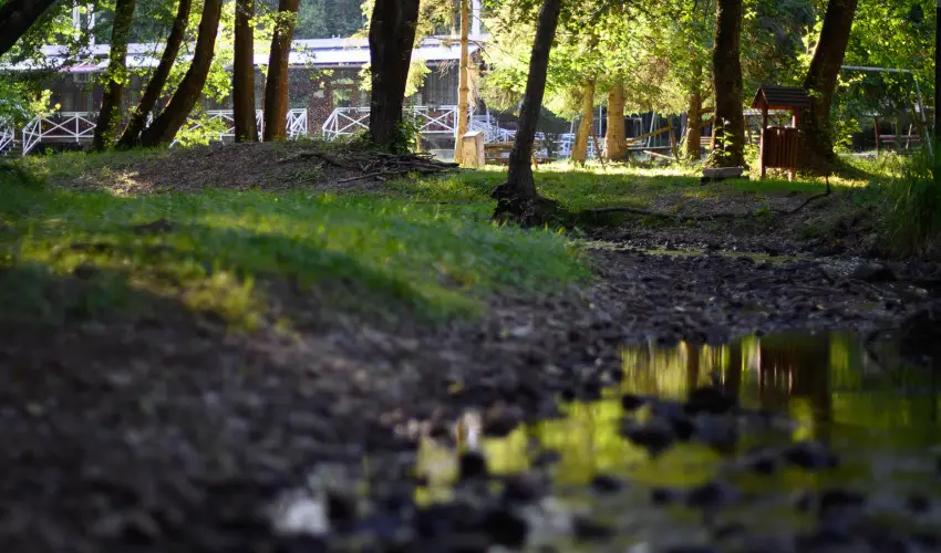 K�kapu Vad�szkast�ly �s Hotel & Apartments Nagyhuta - M�rcius 15.