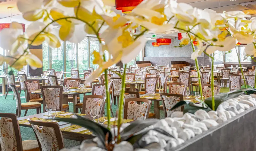 Lifestyle Hotel M�tra M�trah�za - M�rcius 15. (min. 2 �j)