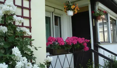 Liza Apartman Gyula