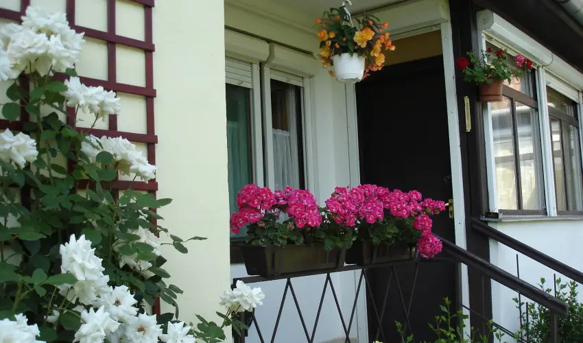 Liza Apartman Gyula - M�rcius 15. (min. 2 �j)