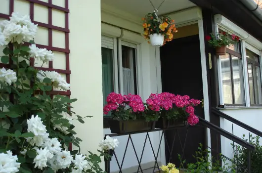 Liza Apartman - M�rcius 15. (min. 2 �j)