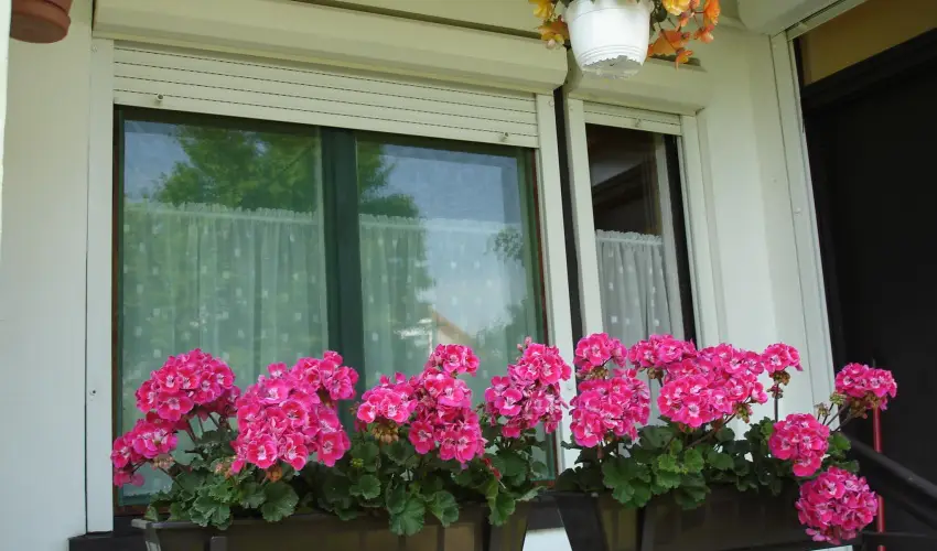 Liza Apartman Gyula - M�rcius 15. (min. 2 �j)