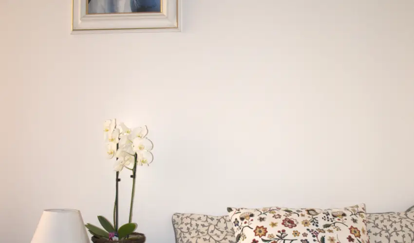 Malom-t� Vend�gh�z Tapolca - M�rcius 15.