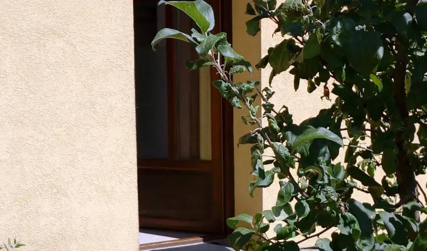 Malom-t� Vend�gh�z Tapolca - M�rcius 15.