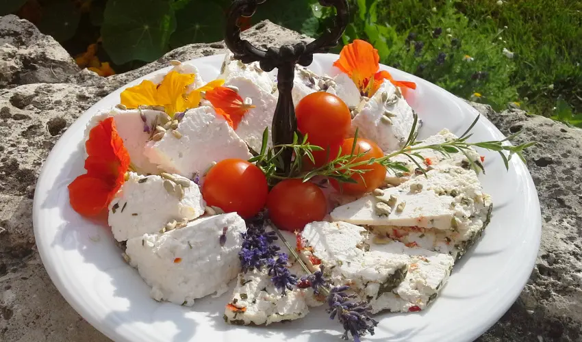 Malom-t� Vend�gh�z Tapolca - M�rcius 15.