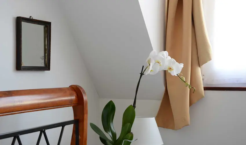 Malom-t� Vend�gh�z Tapolca - M�rcius 15.