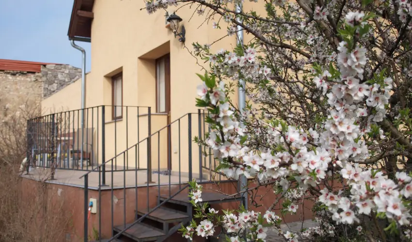 Malom-t� Vend�gh�z Tapolca - M�rcius 15.