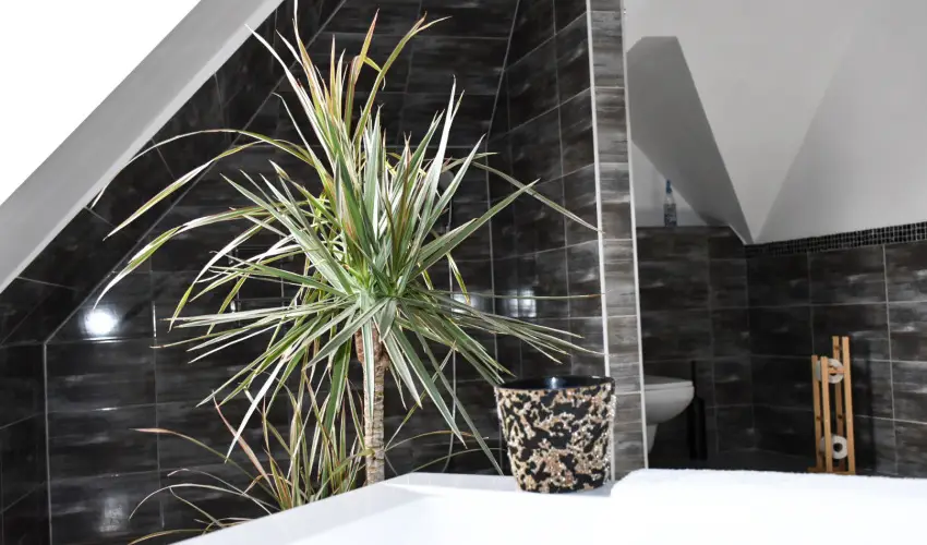 V�gv�ri Hotel Eger Eger - M�rcius 15. 