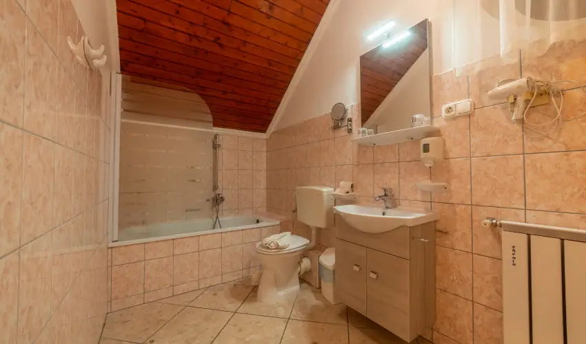 M�rv�ny Panzi� Hajd�szoboszl� - M�rcius 15. (min. 3 �j)