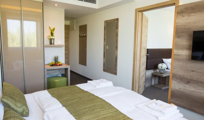 N�das T� Park Hotel Vasad - M�rcius 15. (min. 3 �j)