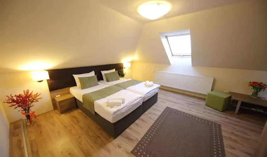 N�das T� Park Hotel Vasad - M�rcius 15. (min. 3 �j)