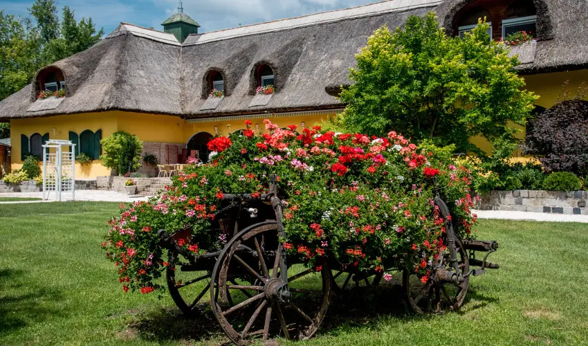 Nyerges Hotel Term�l Monor - M�rcius 15. 