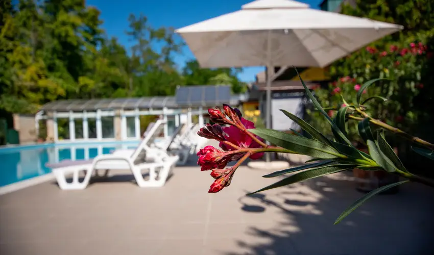 Nyerges Hotel Term�l Monor - M�rcius 15. 