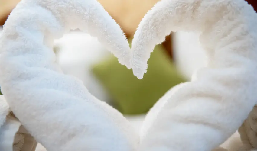 Nyerges Hotel Term�l Monor - M�rcius 15. 