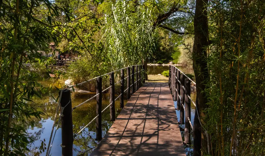 Nyerges Hotel Term�l Monor - M�rcius 15. 