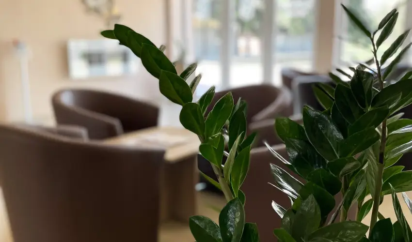 �reg-t� Hotel Tata - M�rcius 15. 
