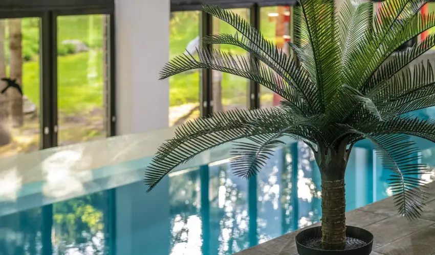 Oxig�n Family Hotel Noszvaj - M�rcius 15.