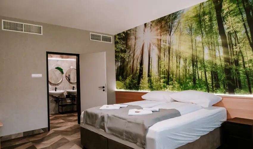 Park Hotel S�st� Ny�regyh�za - M�rcius 15. - teljes el�refizet�ssel