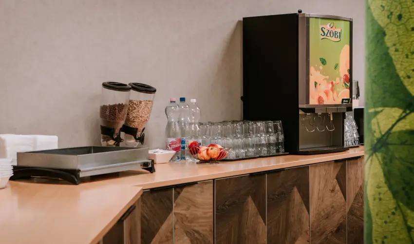 Park Hotel S�st� Ny�regyh�za - M�rcius 15. - teljes el�refizet�ssel