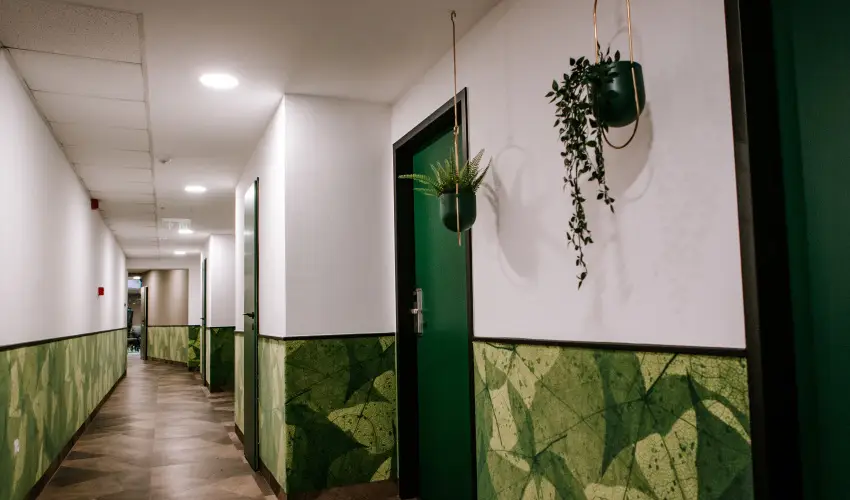 Park Hotel S�st� Ny�regyh�za - M�rcius 15. - teljes el�refizet�ssel